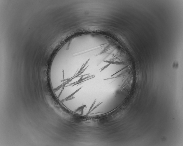 X0000113200447200910011300