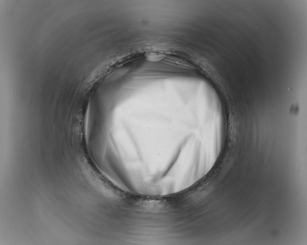 X0000113200449200910011300