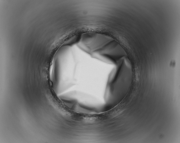 X0000113200450200910011300