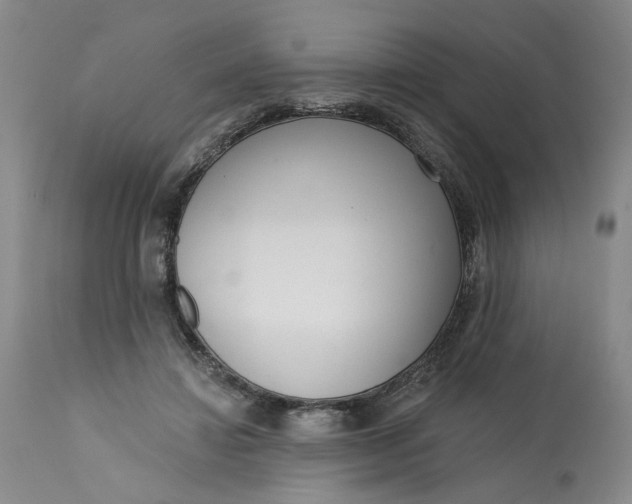 X0000113200452200910011300