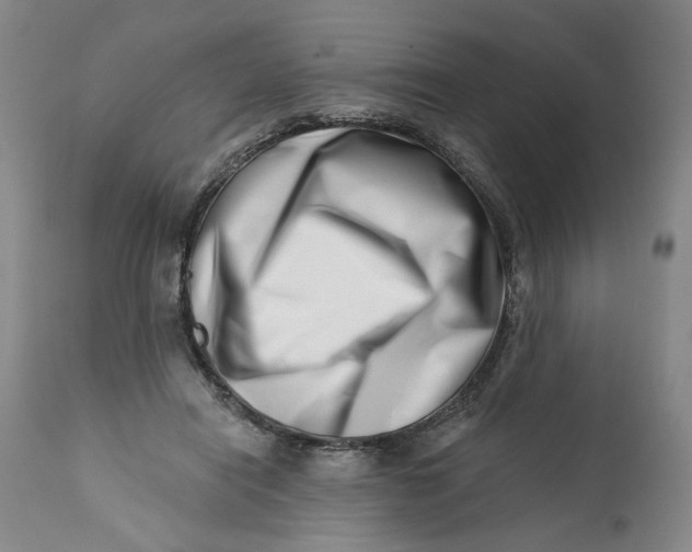 X0000113200454200910011300