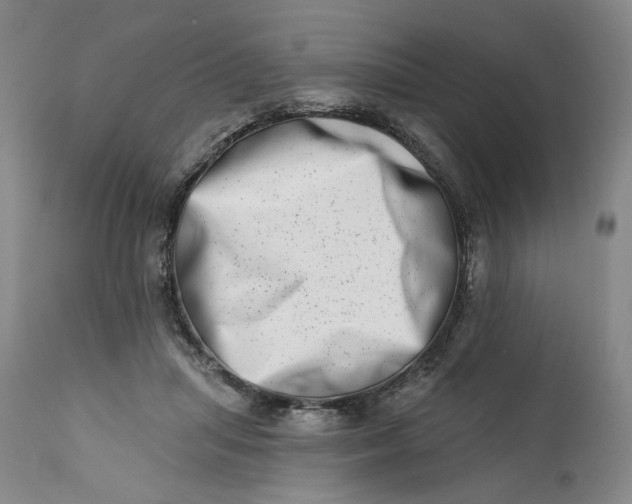 X0000113200455200910011300