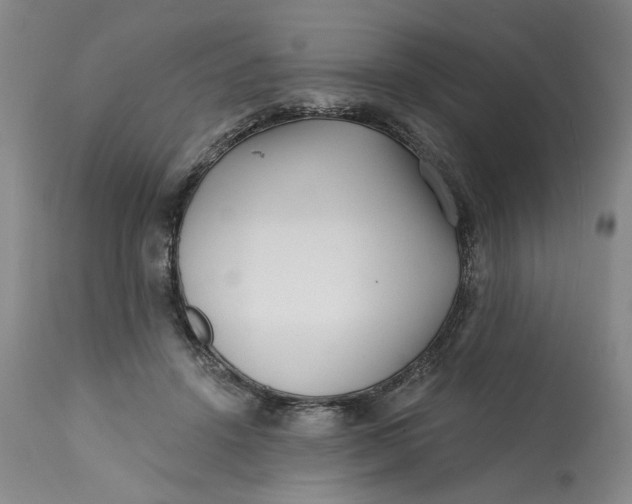 X0000113200456200910011300