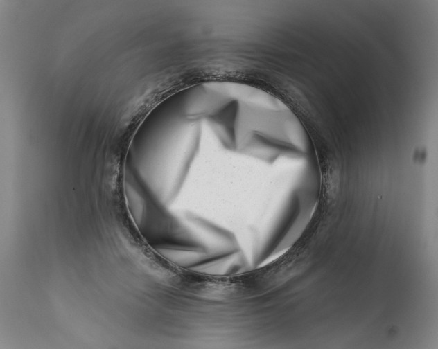 X0000113200458200910011300