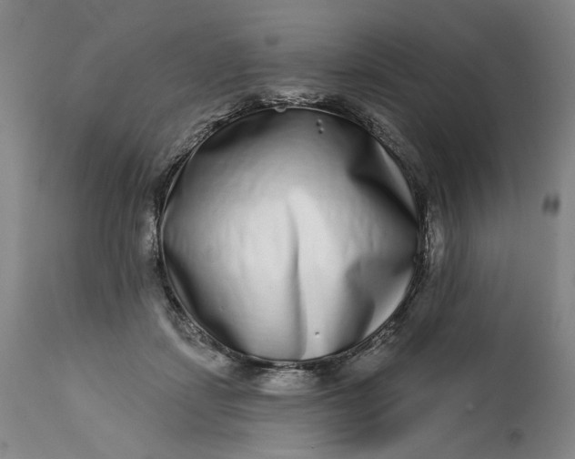 X0000113200459200910011300