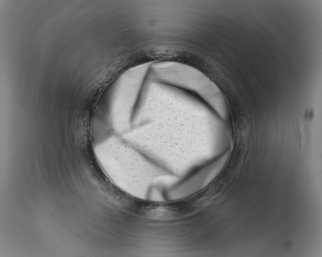 X0000113200460200910011300