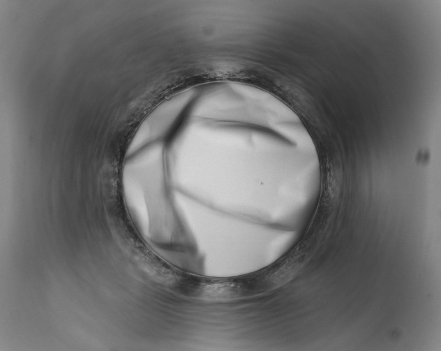 X0000113200461200910011300