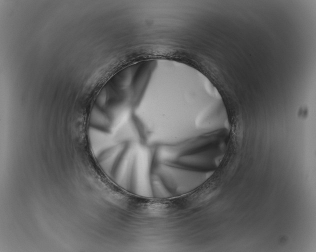 X0000113200462200910011300