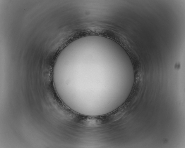 X0000113200464200910011300