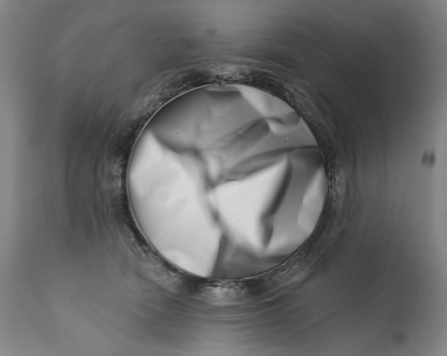 X0000113200466200910011300