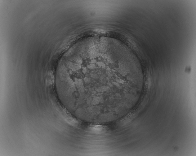 X0000113200467200910011300