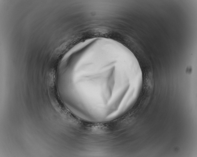 X0000113200468200910011300