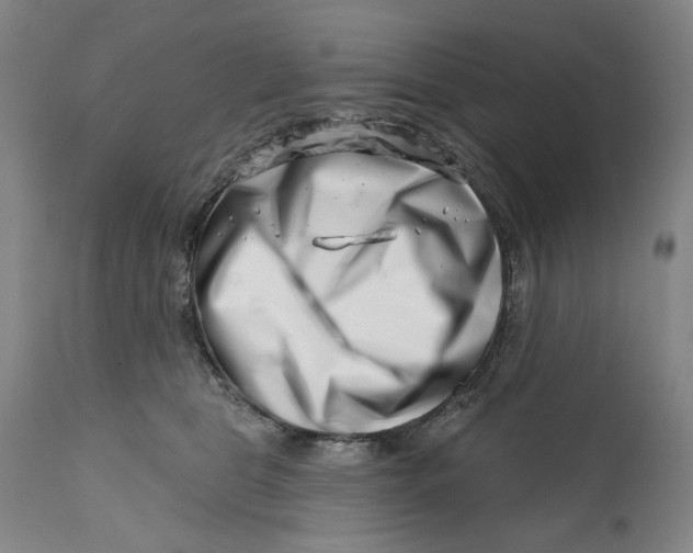 X0000113200469200910011300