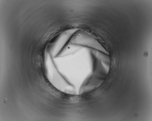 X0000113200470200910011300