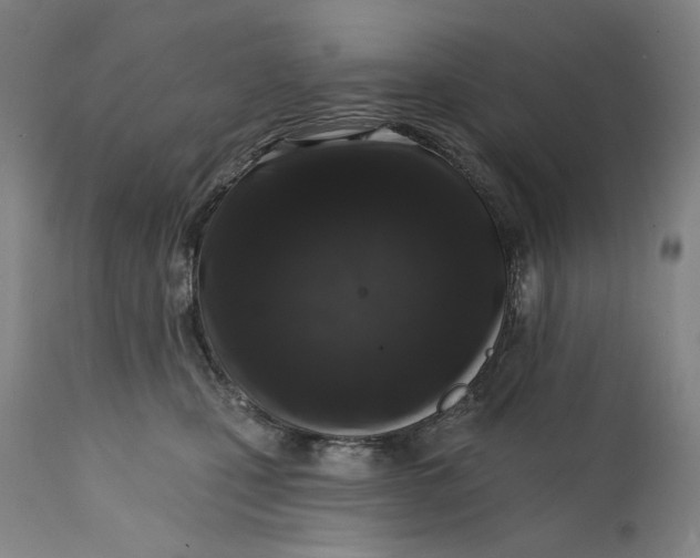 X0000113200471200910011300