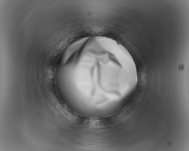 X0000113200472200910011300