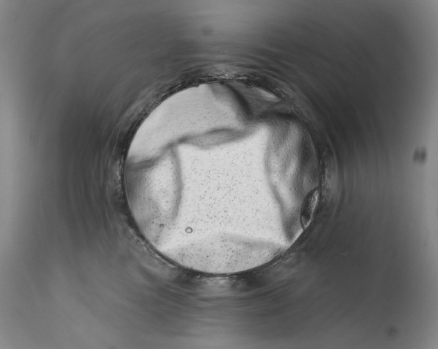 X0000113200473200910011300