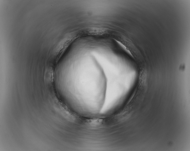 X0000113200474200910011300