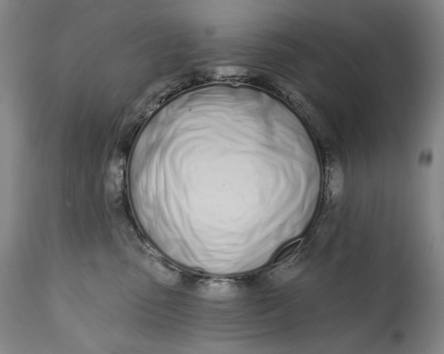 X0000113200475200910011300