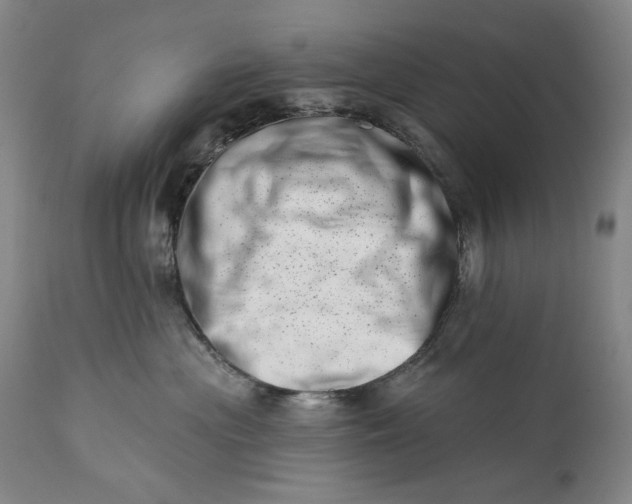 X0000113200477200910011300