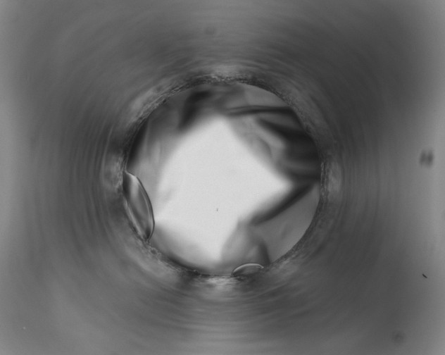 X0000113200478200910011300