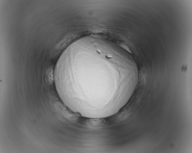 X0000113200479200910011300