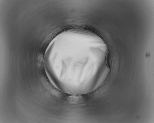 X0000113200480200910011300