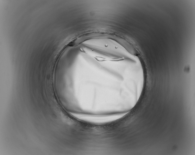 X0000113200481200910011300