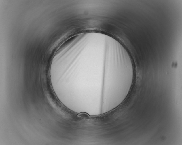 X0000113200482200910011300