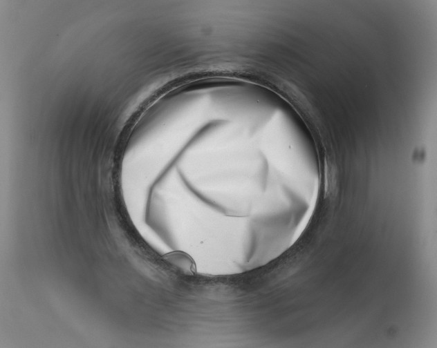 X0000113200483200910011300