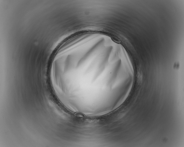 X0000113200484200910011259