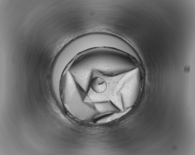 X0000113200485200910011259