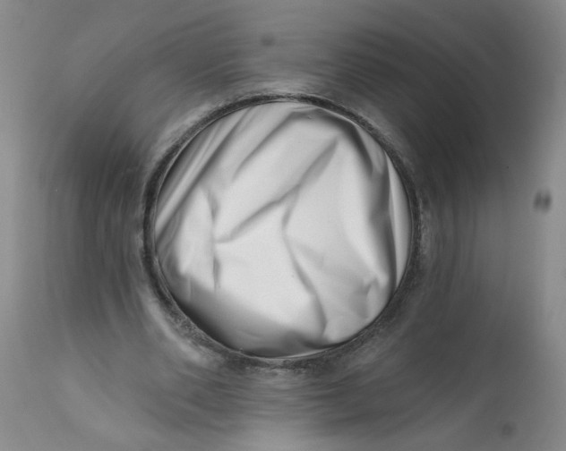 X0000113200486200910011259