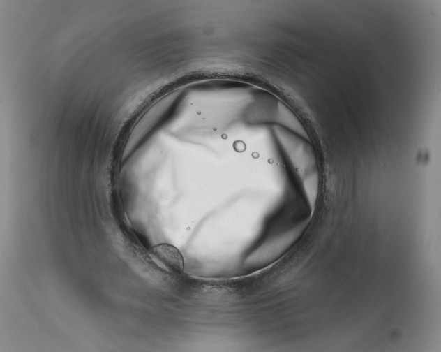 X0000113200487200910011259