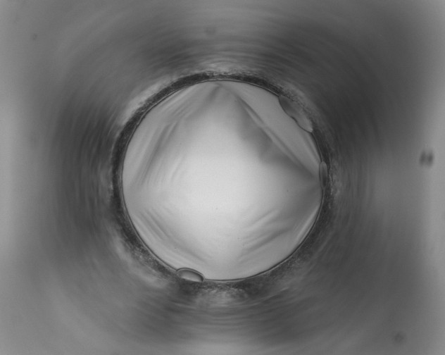 X0000113200488200910011259