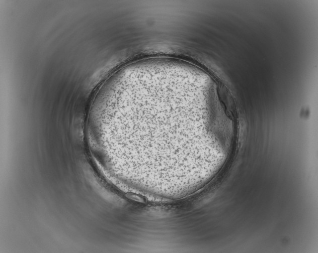 X0000113200489200910011259