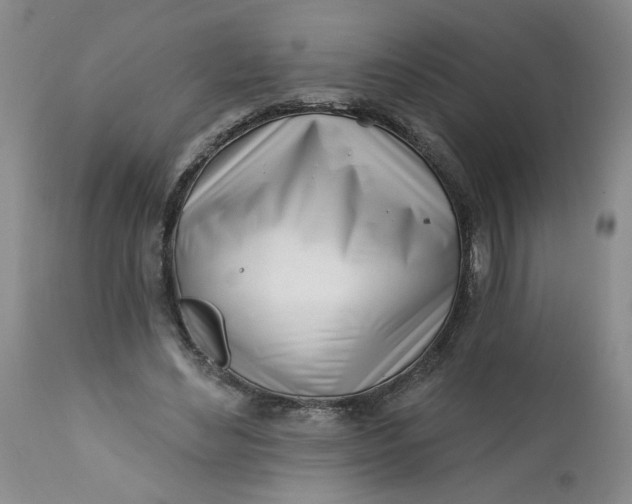 X0000113200492200910011259