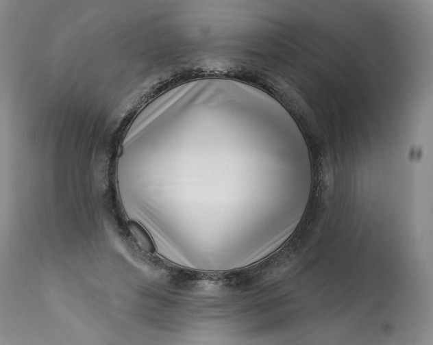 X0000113200496200910011259