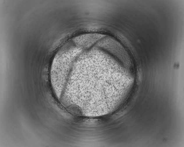 X0000113200497200910011259