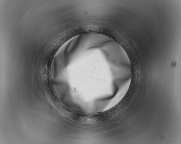 X0000113200498200910011259