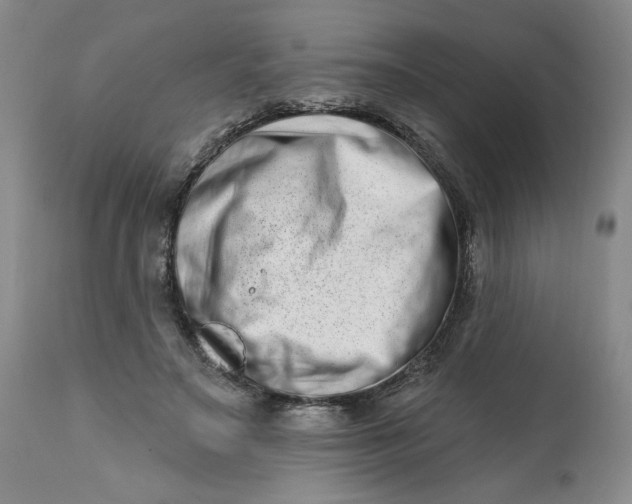 X0000113200499200910011259