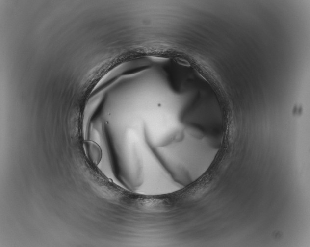 X0000113200501200910011259