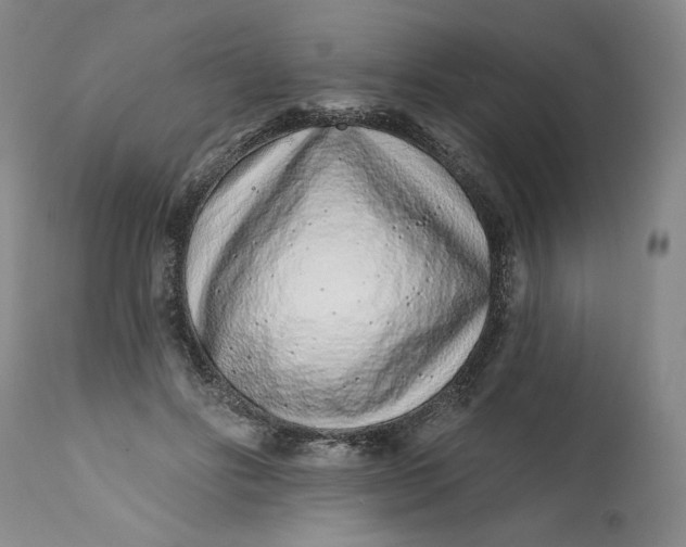 X0000113200502200910011259