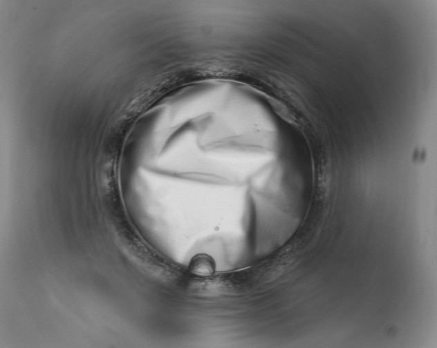 X0000113200503200910011259