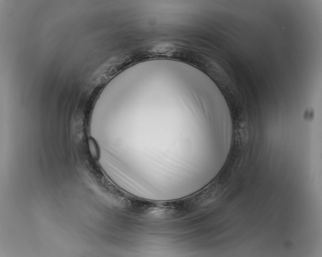 X0000113200504200910011259