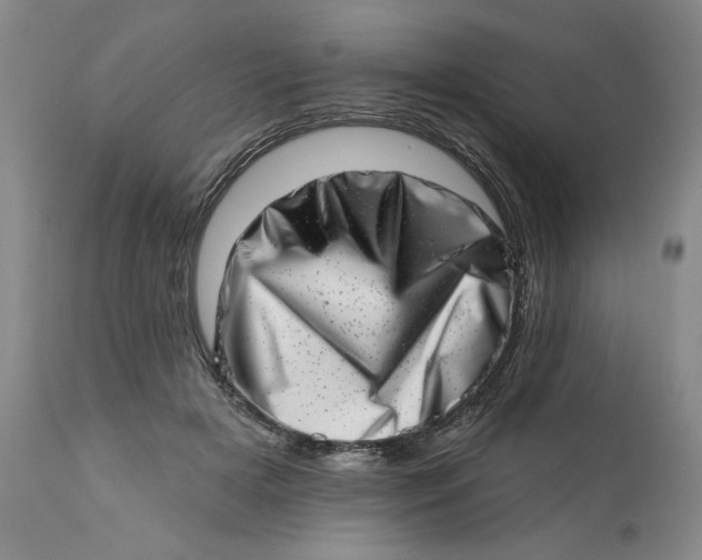 X0000113200505200910011259