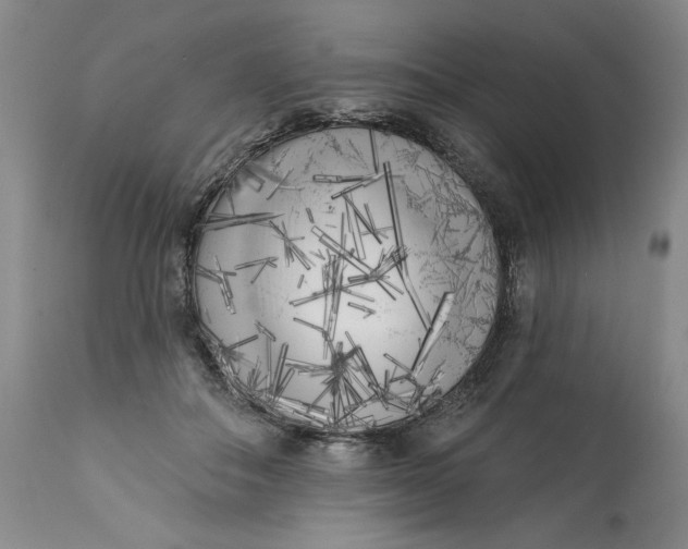 X0000113200506200910011259