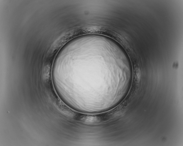 X0000113200507200910011259