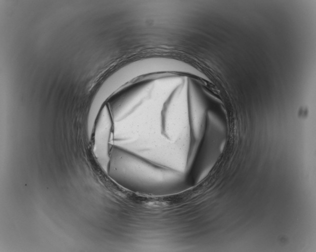 X0000113200508200910011259