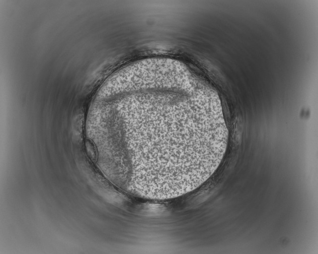 X0000113200509200910011259